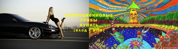 хмурый Краснослободск