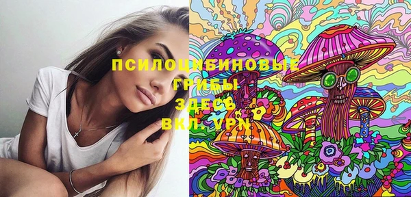 хмурый Краснослободск