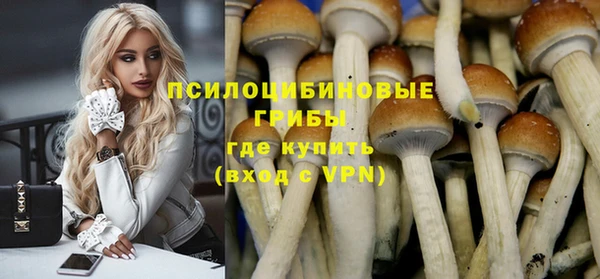 бошки Красноперекопск